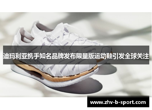迪玛利亚携手知名品牌发布限量版运动鞋引发全球关注